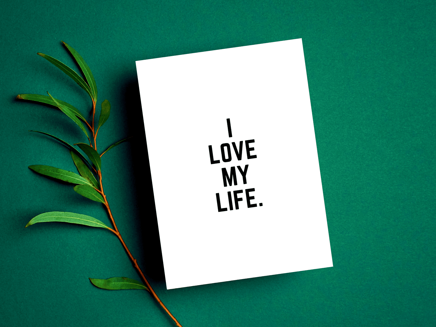 I LOVE MY LIFE — Peace to the People ♥ A Hub of Inspiration for